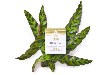 Image of Renew CBD Activated Hand & Body Creme Atop a Botanical